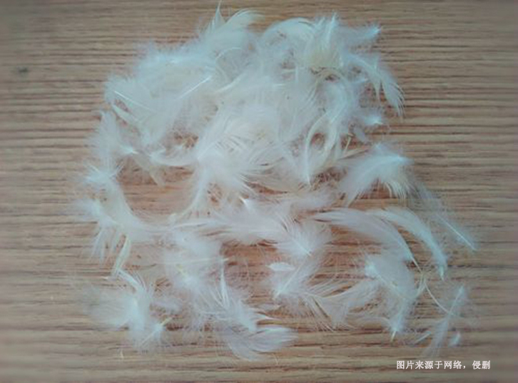 進(jìn)口馬來西亞水洗鴨毛報關(guān)