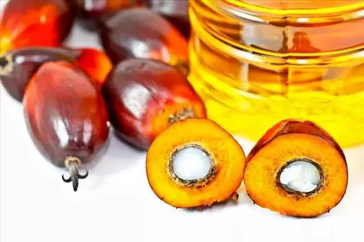 天津棕櫚油進(jìn)口清關(guān)費用_食用棕櫚油報關(guān)關(guān)稅多少