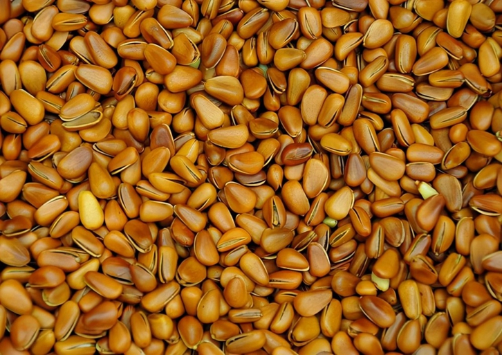 阿富汗松子進(jìn)口清關(guān)