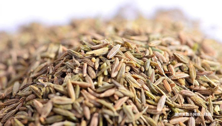 埃及枯茗子孜然進(jìn)口報(bào)關(guān)資料