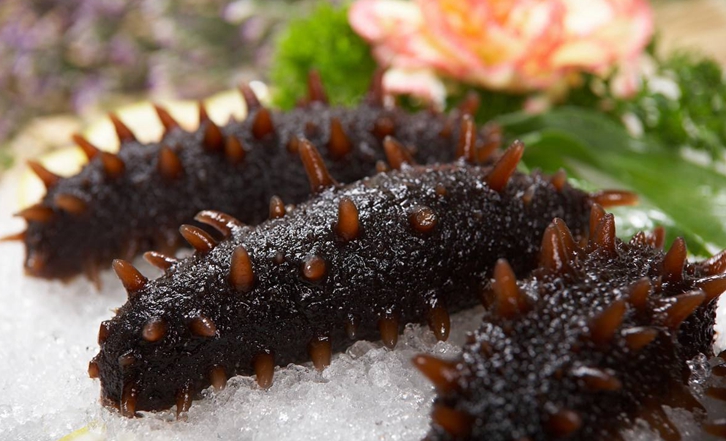 法國冰鮮海參進口報關(guān)公司