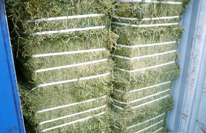 加拿大梯牧草進口報關(guān)流程