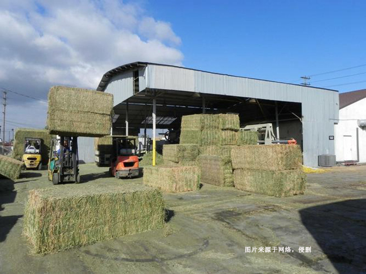 南非苜蓿草進(jìn)口報(bào)關(guān)費(fèi)用