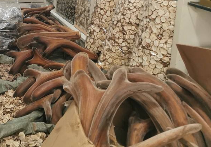 新西蘭鹿角進(jìn)口報(bào)關(guān)