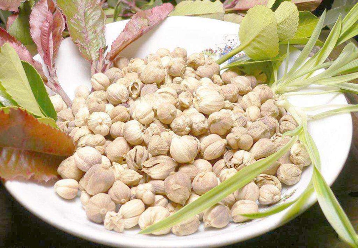 阿拉伯聯(lián)合酋長國豆蔻進(jìn)口報(bào)關(guān)_進(jìn)口藥材通關(guān)單辦理