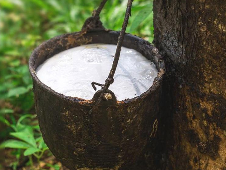 在大連橡膠進口清關(guān)流程怎么樣？越南橡膠進口關(guān)稅