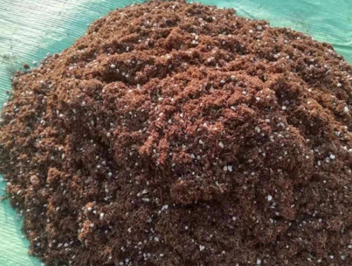 椰糠進口報關費用