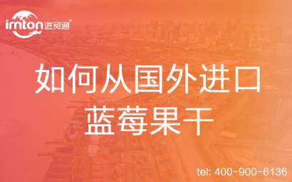 如何從國(guó)外進(jìn)口藍(lán)莓果干