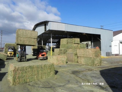 南非苜蓿草進口報關費用-節(jié)省50%飼料報關報檢費用