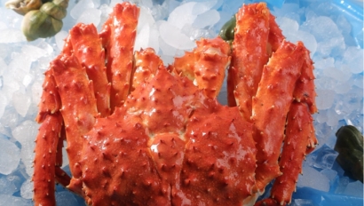 青島進(jìn)口俄羅斯帝王蟹清關(guān)流程-水產(chǎn)品報關(guān)行