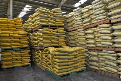 如何從國外進口肥料