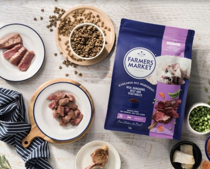 寵物貓糧進口報關(guān)公司一站式進口貓糧清關(guān)-門到門