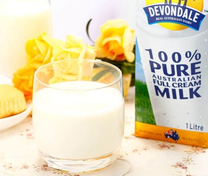 乳制品進口報關流程一站式進口代理門到門