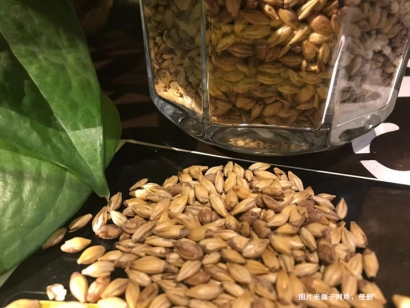 澳大利亞麥芽進(jìn)口報(bào)關(guān)資料_未烘焙啤酒麥芽清關(guān)流程