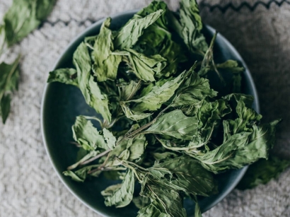 進口美國干薄荷葉清關流程以及調味料進口報關資質