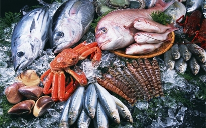 俄羅斯水產品進口報關公司哪家比較好