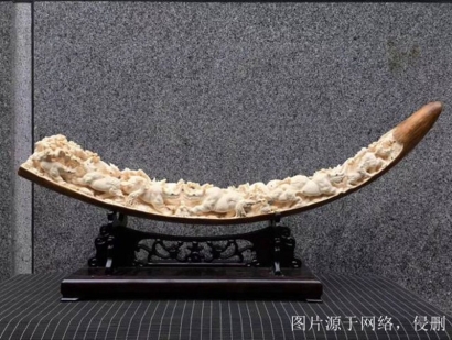 西伯利亞猛犸象牙進口報關流程？猛犸象牙清關資料