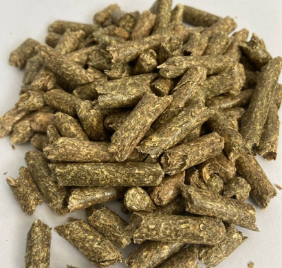 甜菜粕進口報關公司告訴你進口精飼料報關代理流程