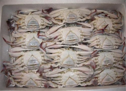 進(jìn)口海鮮清關(guān)您需要注意以下這些事項(xiàng)