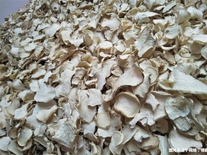 進(jìn)口印度尼西亞干魔芋片報(bào)關(guān)的注意事項(xiàng)_進(jìn)口魔芋干報(bào)關(guān)準(zhǔn)入查詢