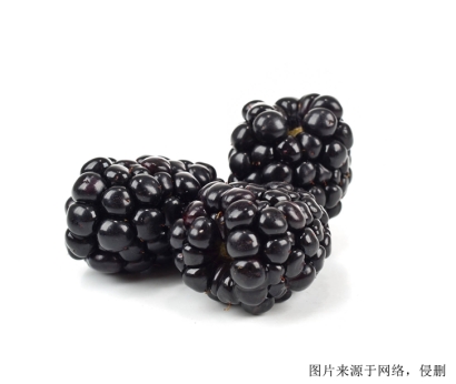 濟(jì)南食品進(jìn)口報(bào)關(guān)，伊朗桑葚進(jìn)口怎么報(bào)關(guān)？