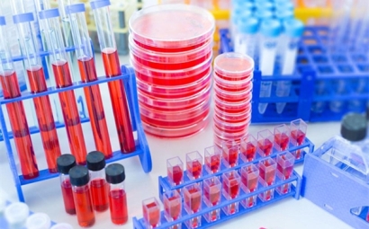 進口細胞清關需要哪些資料，了解一下！