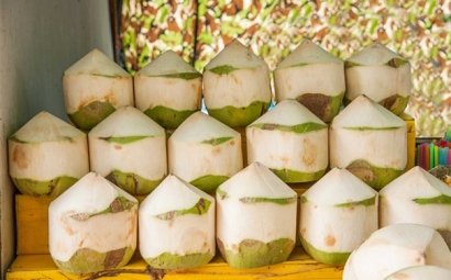 泰國椰青進口報關的流程有這些