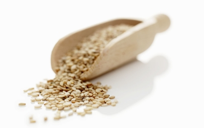 上海芝麻進口清關(guān)代理服務(wù)