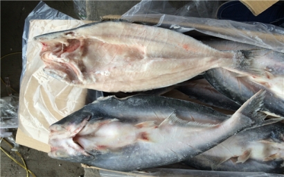 空運海鮮進(jìn)口報關(guān)一般貿(mào)易進(jìn)口需要注意這些，來看看? 