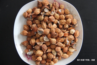 德國(guó)豆蔻進(jìn)口報(bào)關(guān)流程_香料豆蔻進(jìn)口準(zhǔn)入國(guó)家