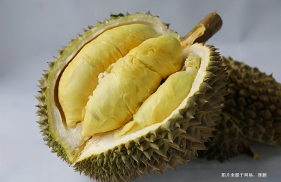 廣州進口泰國榴蓮清關費用_泰國榴蓮進口關稅多少