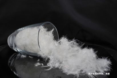 法國(guó)水洗羽絨羽毛進(jìn)口報(bào)關(guān)資料_法國(guó)準(zhǔn)入水洗羽毛企業(yè)