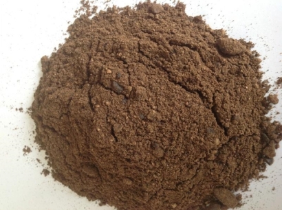 棕櫚粕進口清關(guān)代理公司告訴您進口棕櫚粕的流程