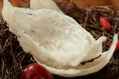 馬來西亞燕窩進口關稅多少_廣州進口燕窩報關手續(xù)