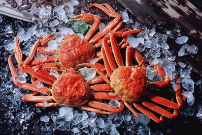 廣州機(jī)場進(jìn)口斯里蘭卡螃蟹報關(guān)費(fèi)用_水產(chǎn)品通關(guān)費(fèi)