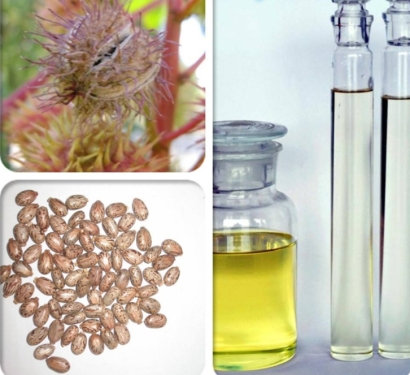 印度蓖麻油進口清關(guān)資料_廣州植物油進口報關(guān)難點