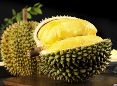 馬來西亞榴蓮進(jìn)口報關(guān)資料7樣_貓山王榴蓮關(guān)稅