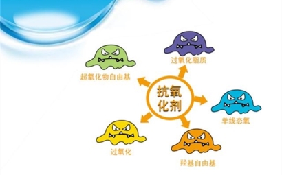 進口抗氧化劑清關所需時間