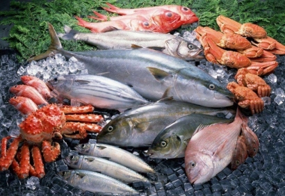 巴布亞新幾內亞海鮮進口報關流程_野生水產品通關