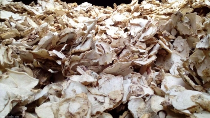 印尼魔芋可以進口嗎？魔芋干進口報關準入國