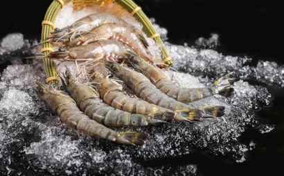 非洲海鮮進口清關