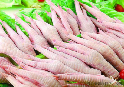 食品代理進口報關(guān)解析