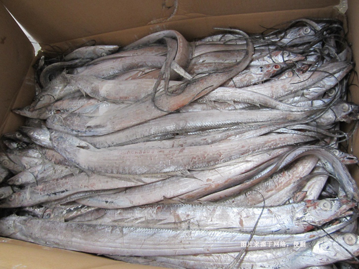 青島進(jìn)口冷凍帶魚(yú)報(bào)關(guān)資料 青島進(jìn)口冷凍帶魚(yú)報(bào)關(guān)資料