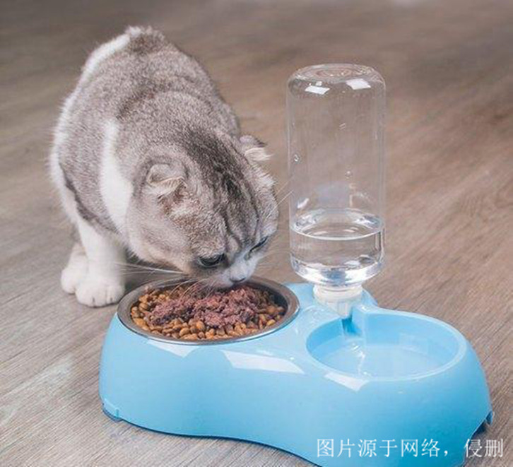 煙臺進口尼泊爾寵物用品報關資料 煙臺進口尼泊爾寵物用品報關資料