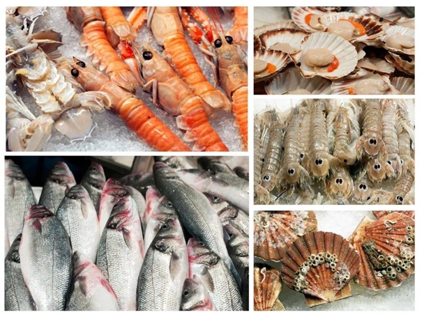 1645787336902250.jpg 湛江海鮮進口報關公司_副本.jpg