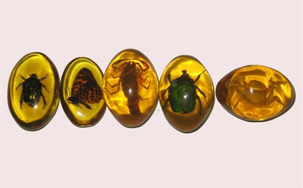 【進(jìn)口琥珀清關(guān)代理】的流程,一般貿(mào)易進(jìn)口琥珀 進(jìn)口琥珀清關(guān)代理