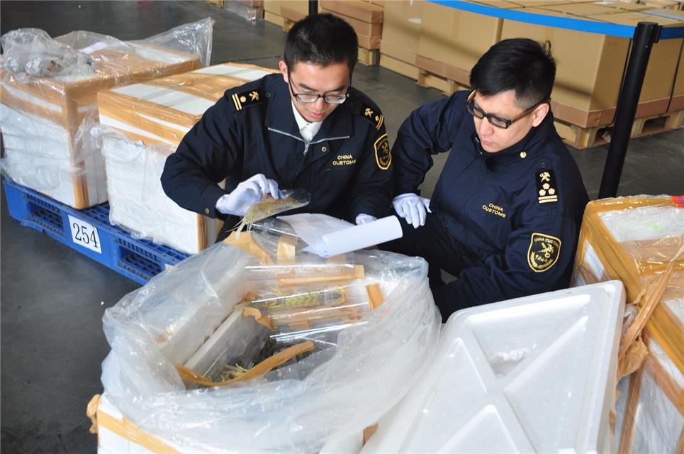 1547862643614390.jpg 個人進(jìn)口