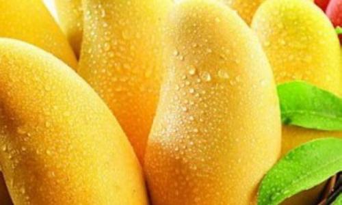 1571103073623975.jpg 泰國芒果進(jìn)口報(bào)關(guān)